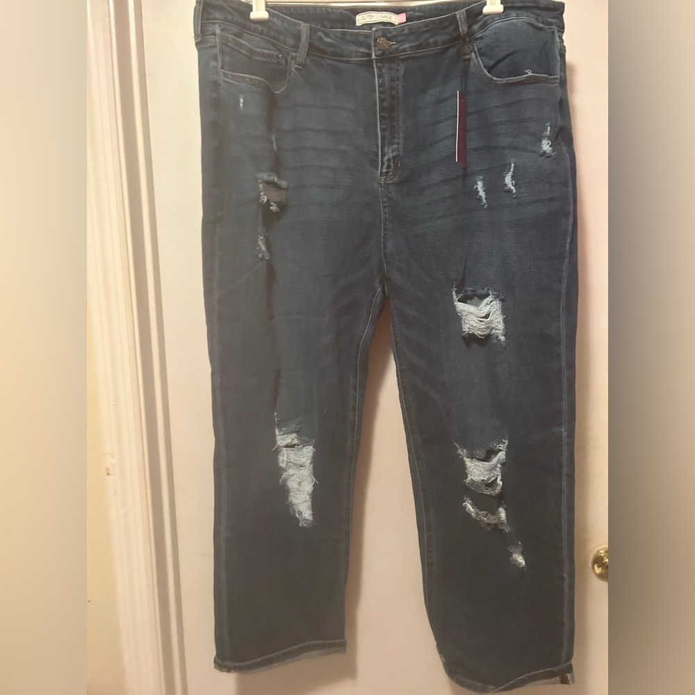 Glitzy Girlz Jeans, Women’s Plus Size 22W